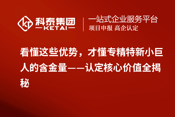 看懂这些优势，才懂专精特新小巨人的含金量——认定核心价值全揭秘