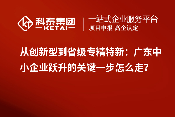 从创新型到省级专精特新：广东中小企业跃升的关键一步怎么走？
