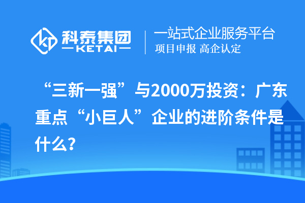 “三新一强”与2000万投资：广东重点“小巨人”企业的进阶条件是什么？