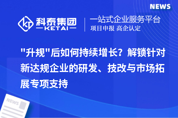 升规后如何持续增长？解锁针对新达规企业的研发、技改与市场拓展专项支持