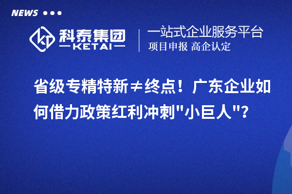 省级专精特新≠终点！广东企业如何借力政策红利冲刺小巨人？