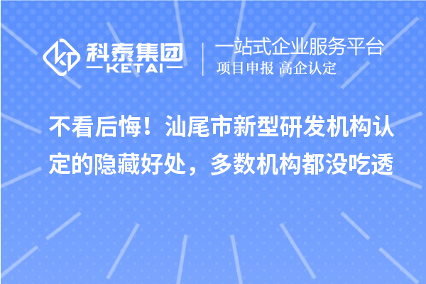 不看后悔！汕尾市新型研发机构认定的隐藏好处，多数机构都没吃透