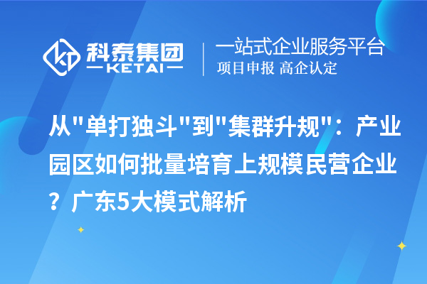 从单打独斗到集群升规：产业园区如何批量培育上规模民营企业？广东5大模式解析