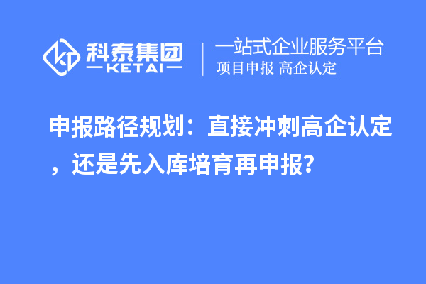 申报路径规划：直接冲刺高企认定，还是先入库培育再申报？