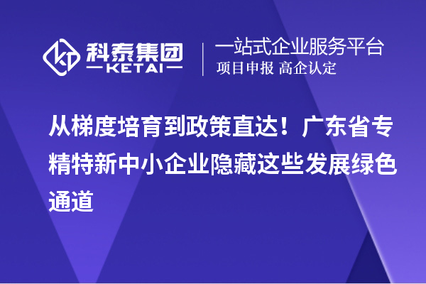从梯度培育到政策直达！广东省专精特新中小企业隐藏这些发展绿色通道