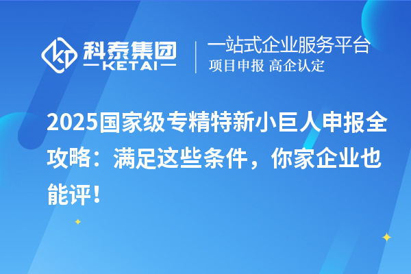  2025国家级专精特新小巨人申报全攻略：满足这些条件，你家企业也能评！