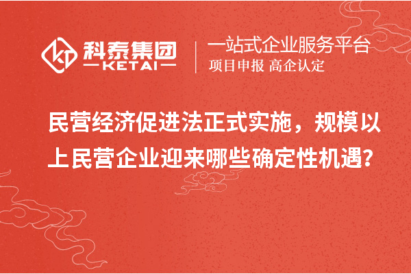 民营经济促进法正式实施，规模以上民营企业迎来哪些确定性机遇？