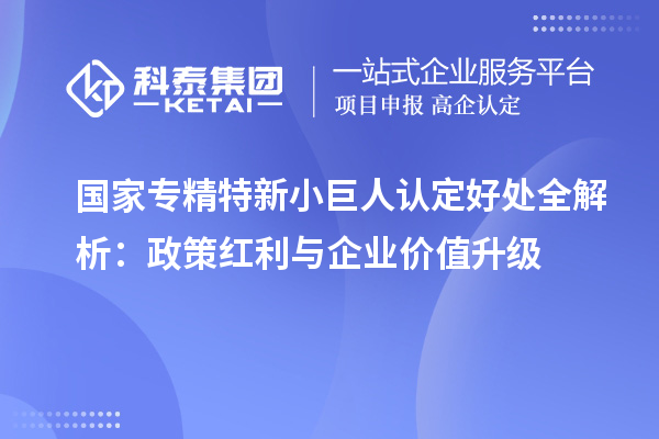国家专精特新小巨人认定好处全解析：政策红利与企业价值升级