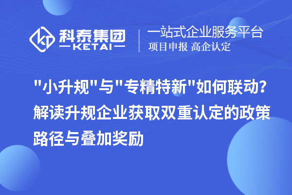 小升规与专精特新如何联动？解读升规企业获取双重认定的政策路径与叠加奖励