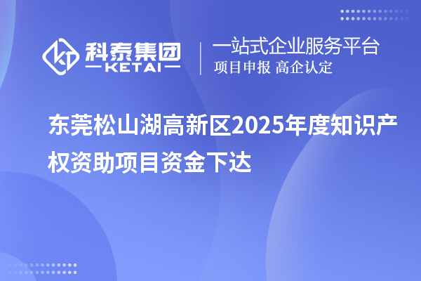 东莞松山湖高新区2025年度知识产权资助项目资金下达
