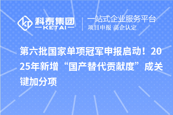 第六批国家单项冠军申报启动！2025年新增“国产替代贡献度”成关键加分项