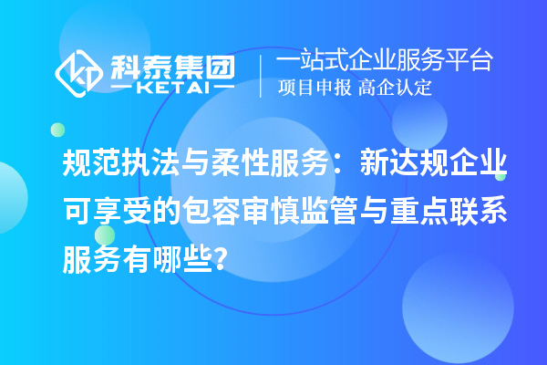 规范执法与柔性服务：新达规企业可享受的包容审慎监管与重点联系服务有哪些？