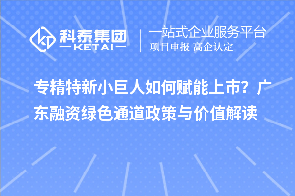  专精特新小巨人如何赋能上市？广东融资绿色通道政策与价值解读