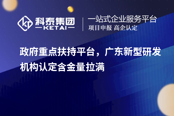 政府重点扶持平台，广东新型研发机构认定含金量拉满