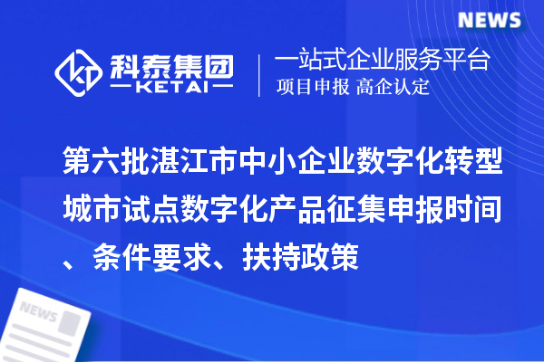 第六批湛江市中小企业数字化转型城市试点数字化产品征集申报时间、条件要求、扶持政策