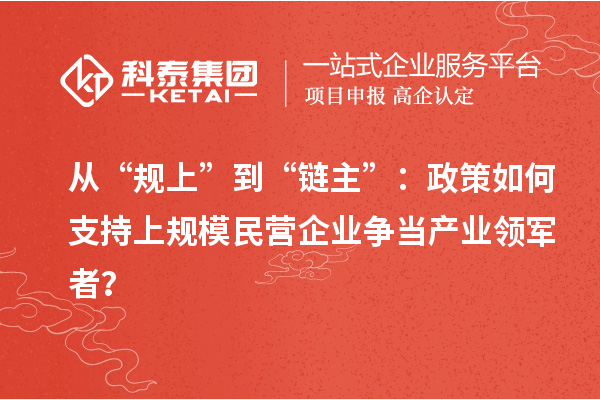 从“规上”到“链主”：政策如何支持上规模民营企业争当产业领军者？