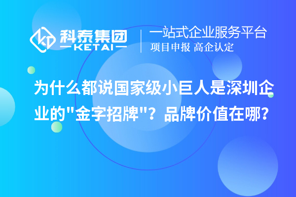 为什么都说国家级小巨人是深圳企业的金字招牌？品牌价值在哪？