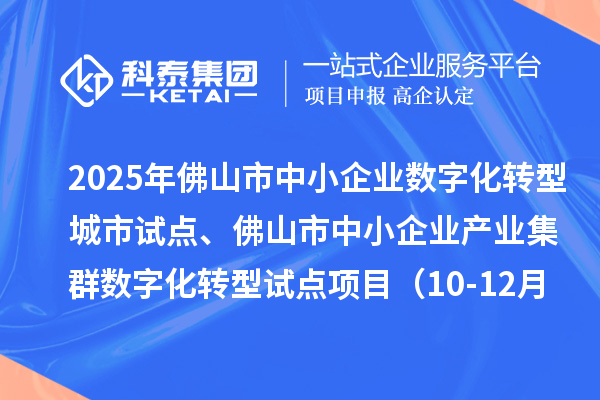 2025年佛山市中小企业数字化转型城市试点、佛山市中小企业产业集群数字化转型试点项目（10-12月批次）评审结果的公示