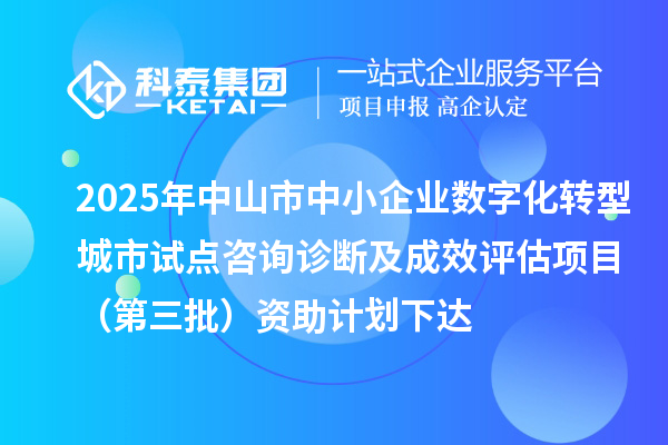 2025年中山市中小企业数字化转型城市试点咨询诊断及成效评估项目（第三批）资助计划下达