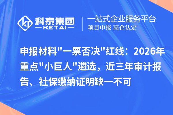 申报材料一票否决红线：2026年重点小巨人遴选，近三年审计报告、社保缴纳证明缺一不可