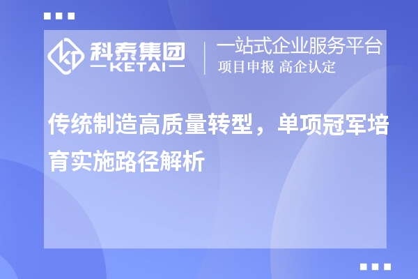  传统制造高质量转型，单项冠军培育实施路径解析