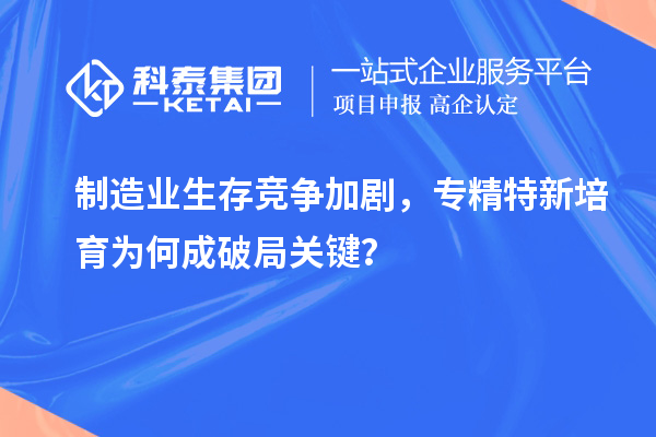  制造业生存竞争加剧，专精特新培育为何成破局关键？