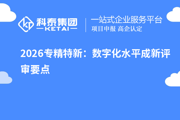 2026专精特新：数字化水平成新评审要点