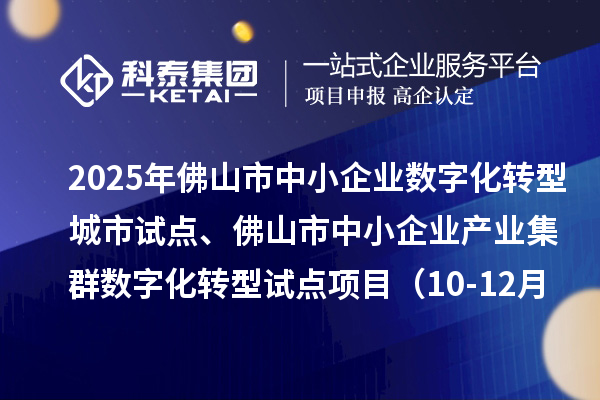 2025年佛山市中小企业数字化转型城市试点、佛山市中小企业产业集群数字化转型试点项目（10-12月批次）评审结果的公示（第二次）