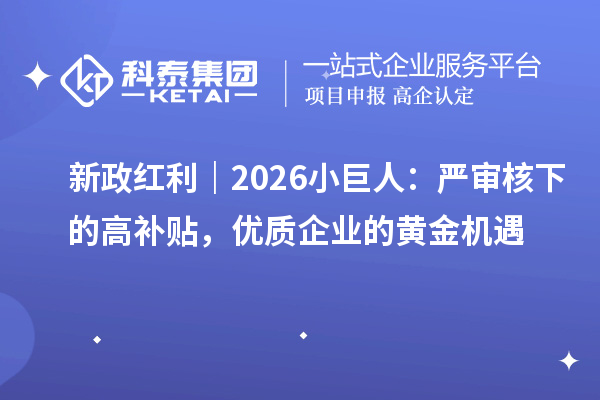 新政红利｜2026小巨人：严审核下的高补贴，优质企业的黄金机遇