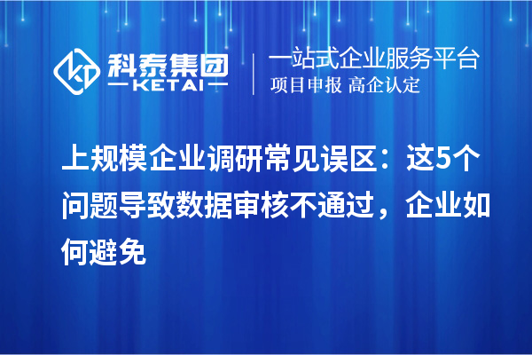 上规模企业调研常见误区：这5个问题导致数据审核不通过，企业如何避免