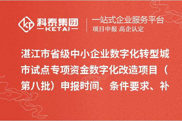 湛江市省级中小企业数字化转型城市试点专项资金数字化改造项目（第八批）申报时间、条件要求、补助奖励