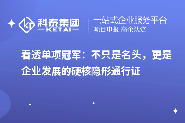 看透单项冠军：不只是名头，更是企业发展的硬核隐形通行证