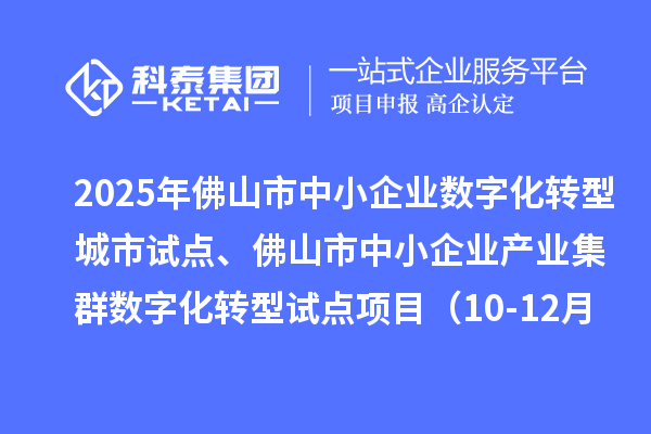 2025年佛山市中小企业数字化转型城市试点、佛山市中小企业产业集群数字化转型试点项目（10-12月批次）评审结果的公示（第三次）