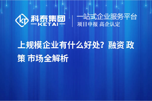上规模企业有什么好处？融资 + 政策 + 市场全解析