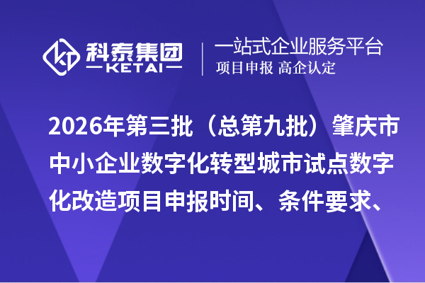 2026年第三批（总第九批）肇庆市中小企业数字化转型城市试点数字化改造项目申报时间、条件要求、补助奖励