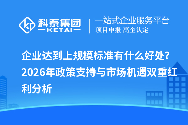 企业达到上规模标准有什么好处？2026年政策支持与市场机遇双重红利分析