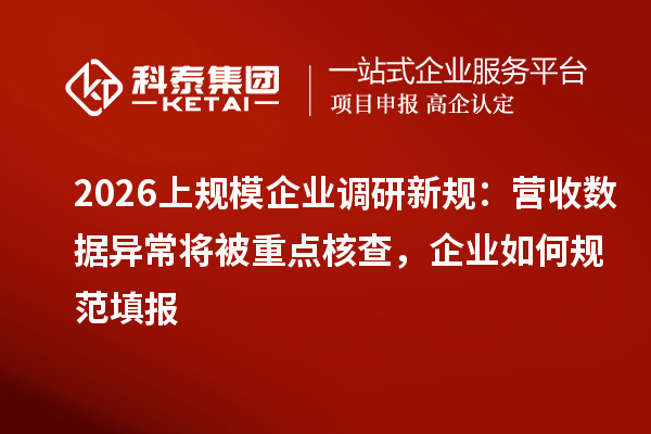 2026上规模企业调研新规：营收数据异常将被重点核查，企业如何规范填报