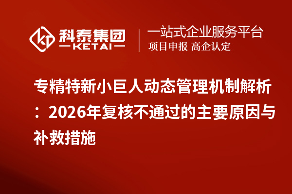 专精特新小巨人动态管理机制解析:2026年复核不通过的主要原因与补救措施