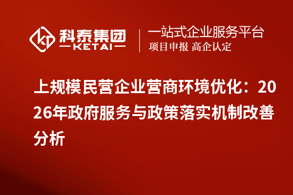 上规模民营企业营商环境优化：2026年政府服务与政策落实机制改善分析