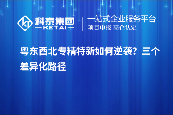  粤东西北专精特新如何逆袭？三个差异化路径
